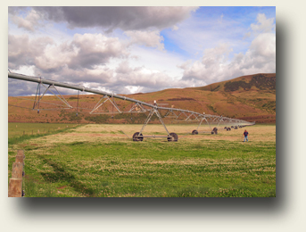 Bewaesserung Twitzel