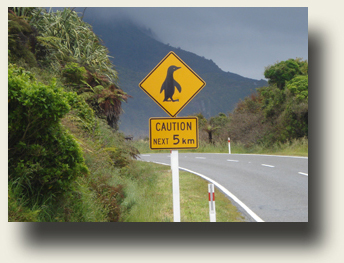 Im Paparoa National Park