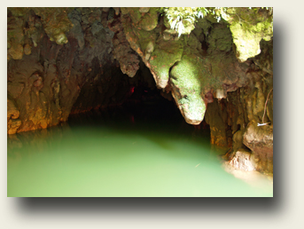 Waitomo Glowworm Caves