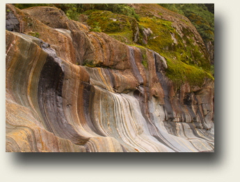 Felsschliff Franz-Josef Glacier
